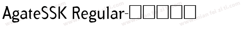 AgateSSK Regular字体转换